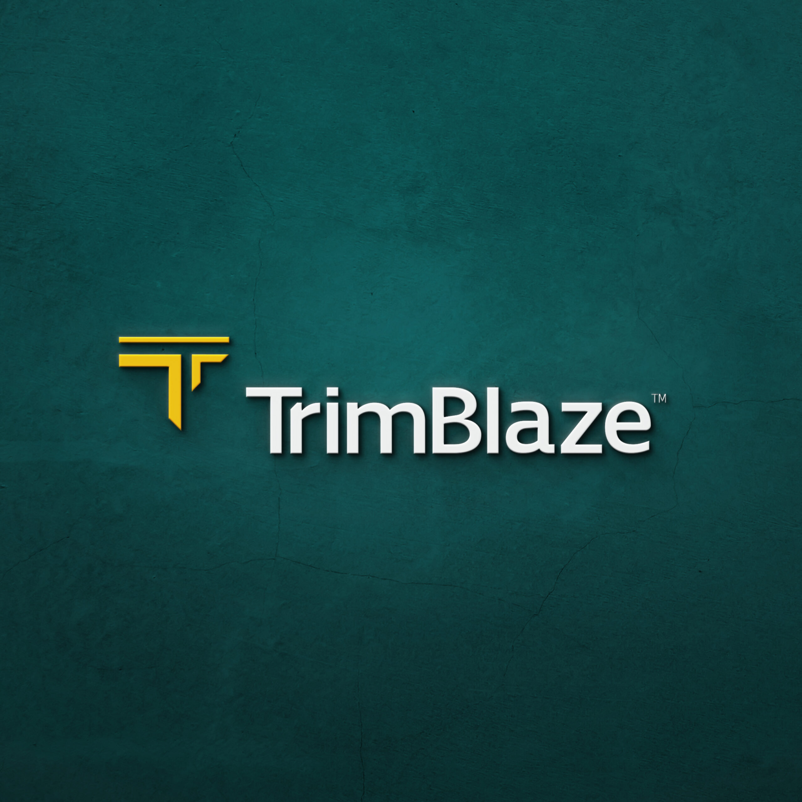Trimblaze Rebrand